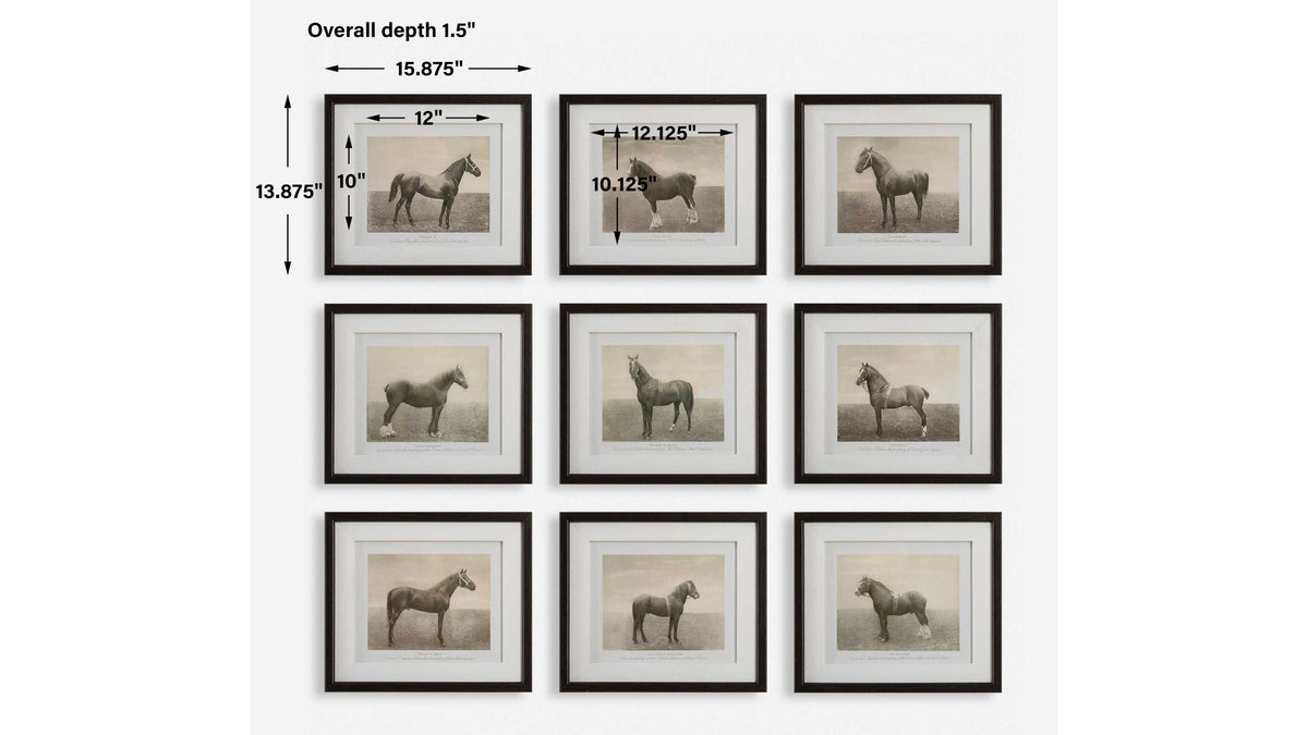 Equine Dynasty - Framed Prints (Set of 9)