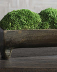 Canal - Moss Centerpiece