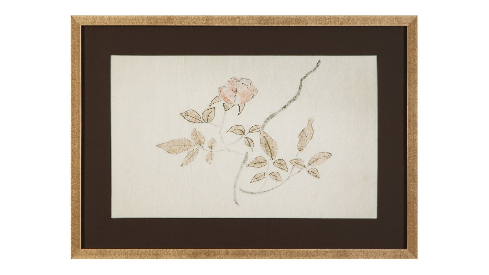 Delicate Rose I Framed Print - Cream