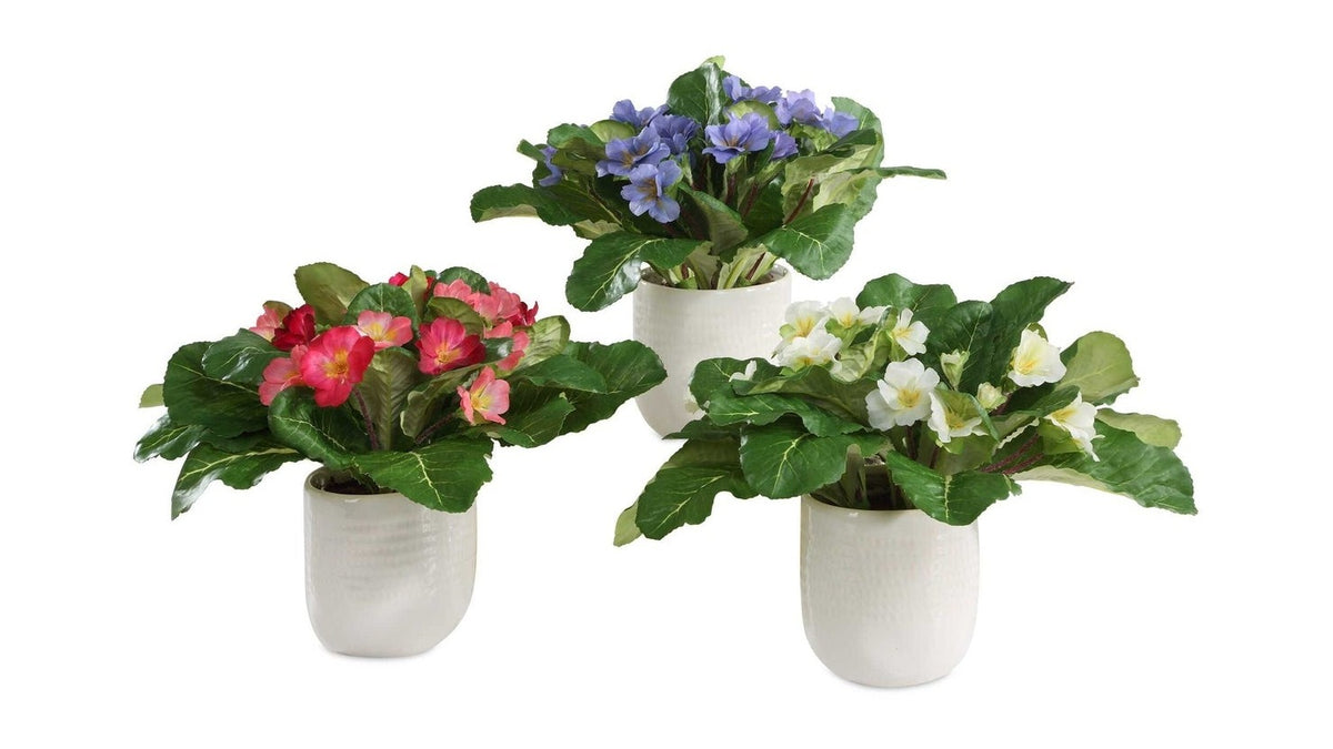 Trilogy Primrose - Accents In Vases Set of 3 - Green / White