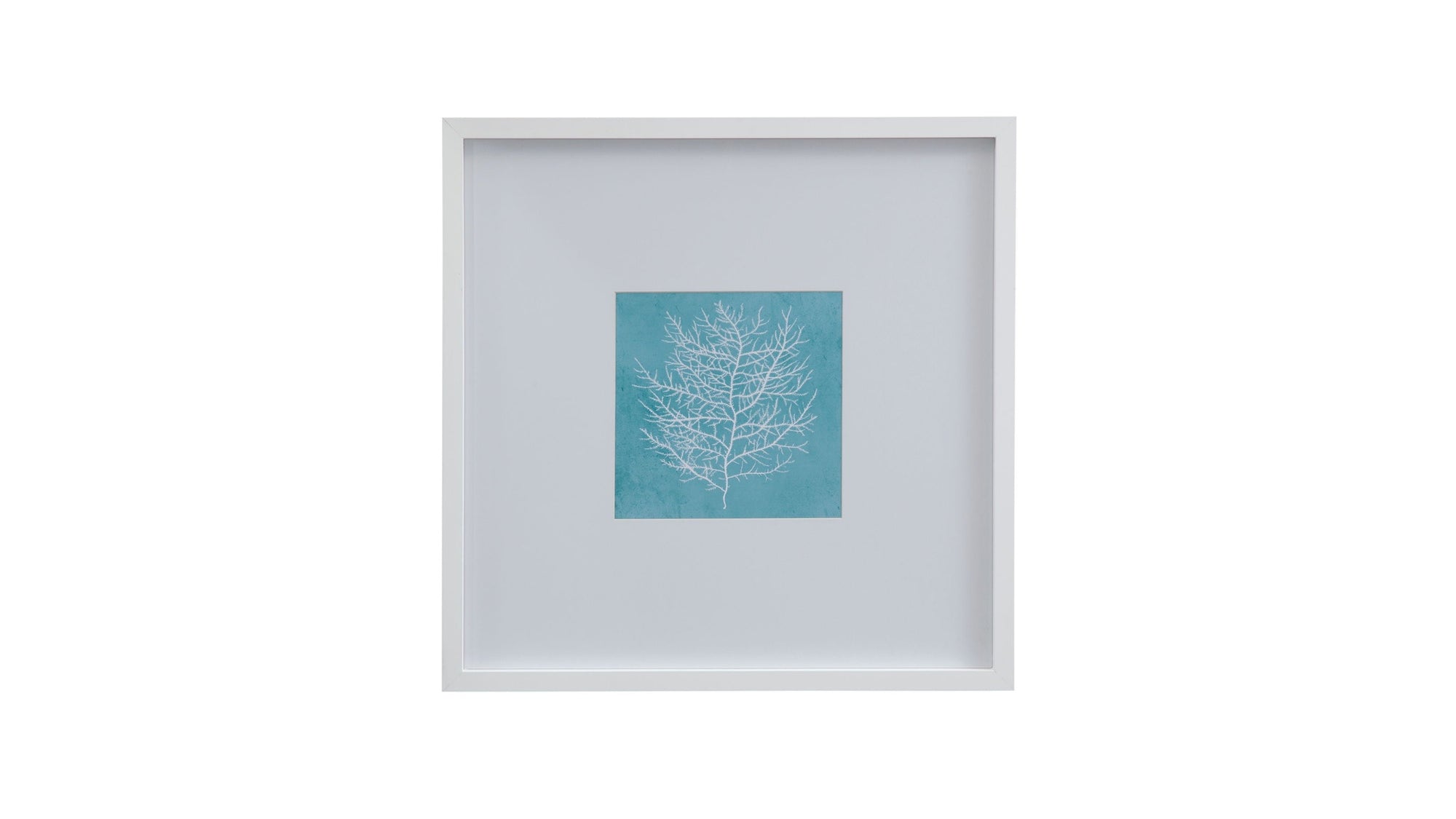 White Coral On Blue II Framed Print - Blue / White