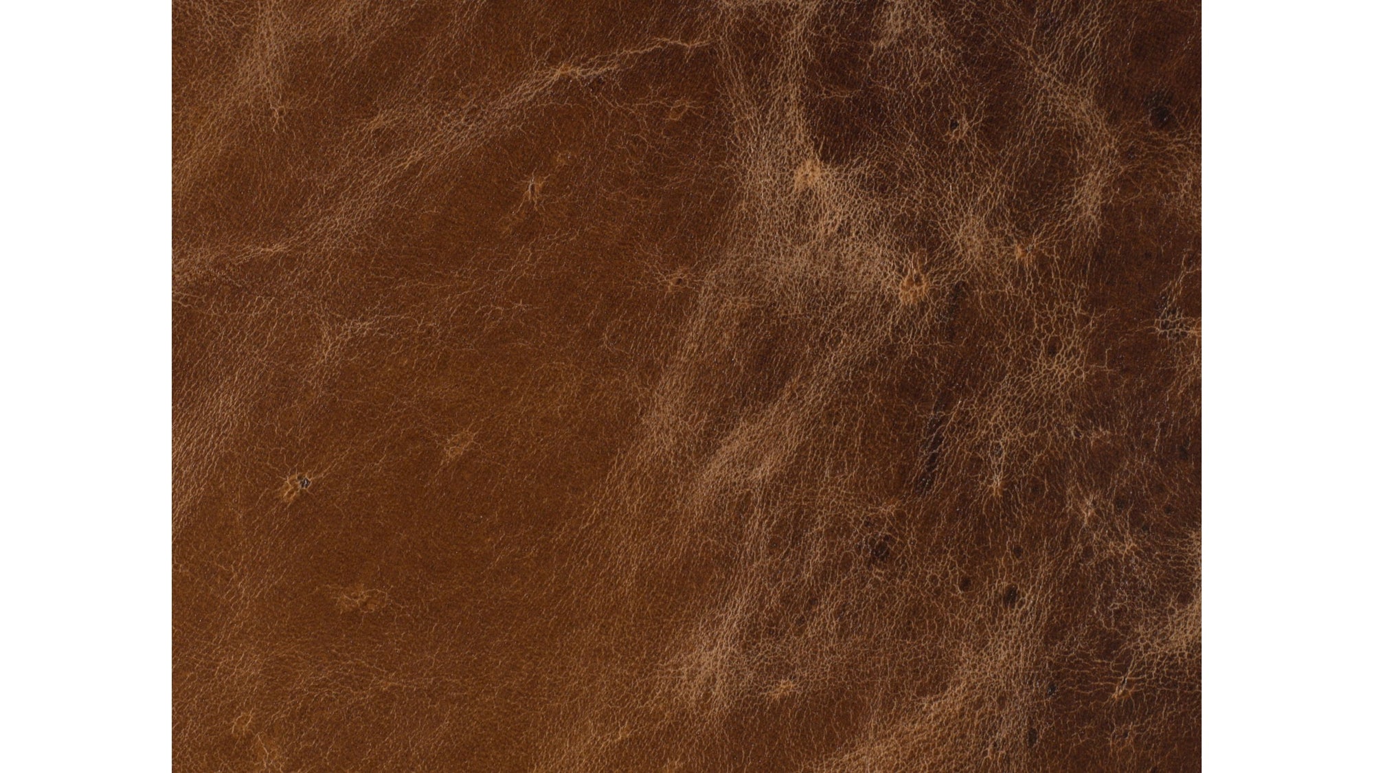 EC - Barker Executive Swivel Tilt Chair