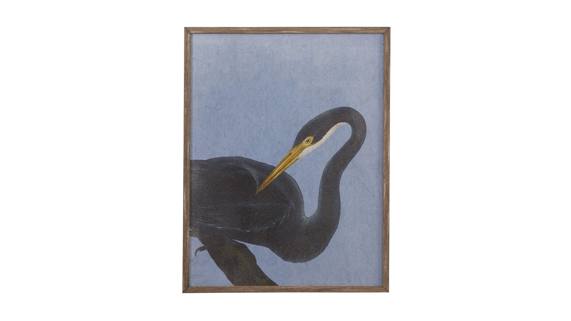 Bayou Heron I Framed Print - Blue / Black