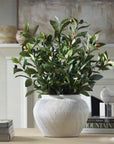 Elena Olive - Centerpiece - White