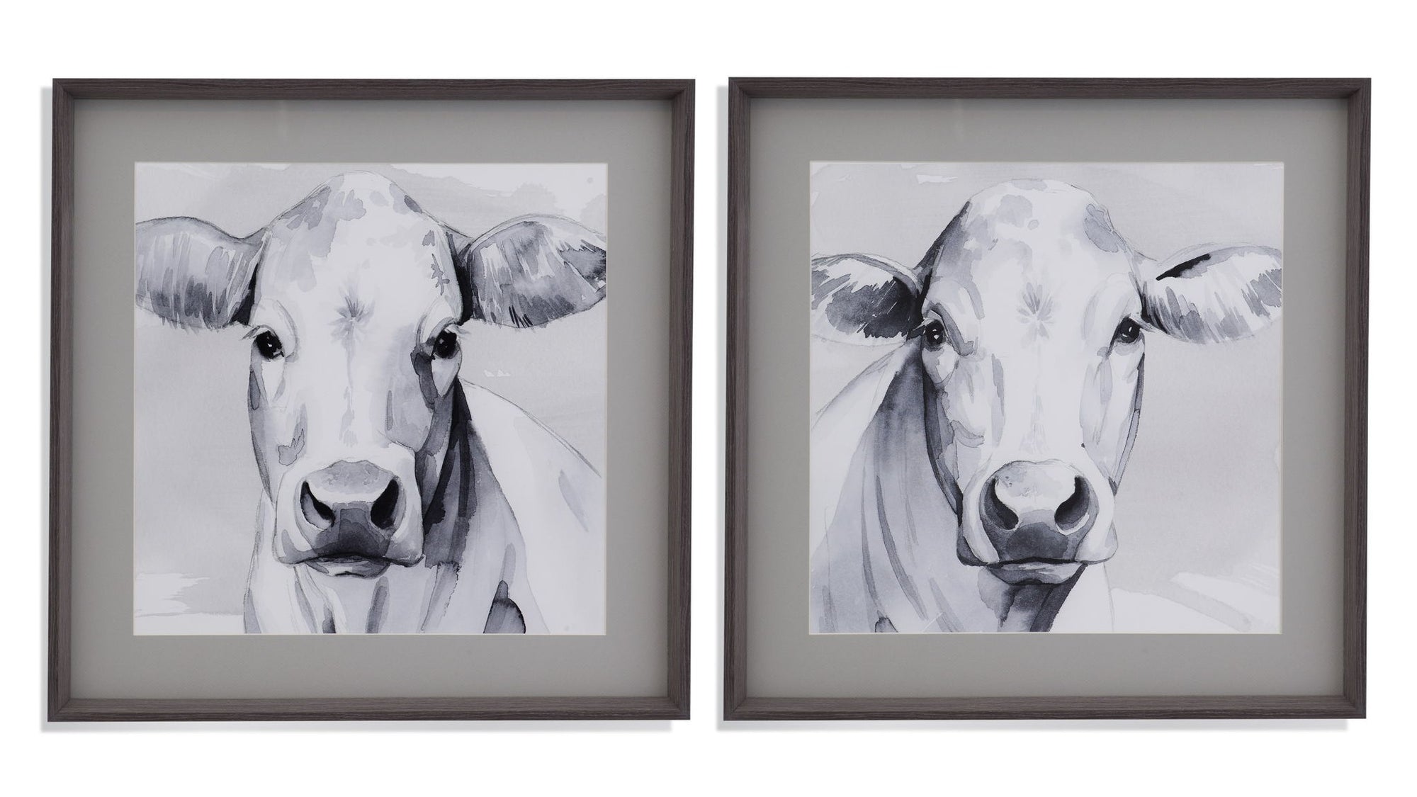 Sweet Face I - Framed Print - Gray